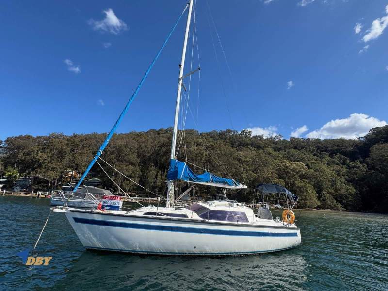 South Coast 32