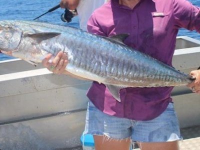 Mackerel Class 2A & Class 2B Units FOR LEASE