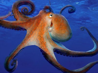 Octopus Fishing Package