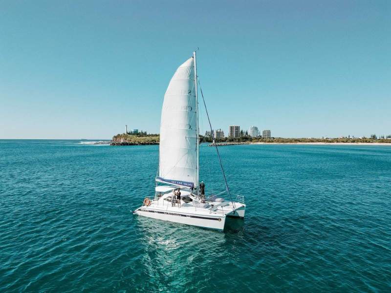 Tasman C35